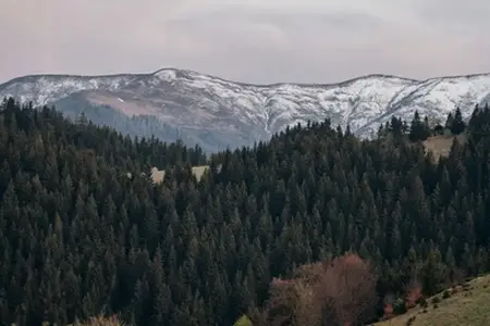 Закупуване на румънска винетка и съвети за пътуване