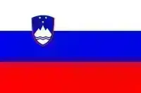Slovenia - VEHICLE REGISTRATION 2026